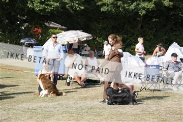 181848_kar_01__62_2334.JPG