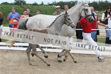 125406_TBJ_01_IMG_1332.JPG