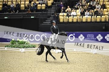 182194_kbb_02_Z098783.JPG