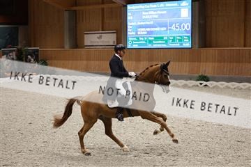 182176_mlm_01R62_9370.JPG