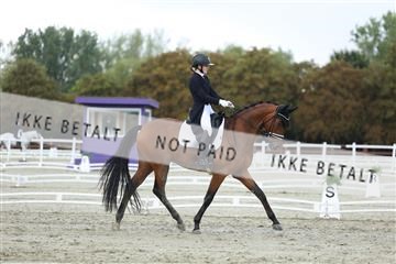 181923_mtp_04_R62_9145.JPG