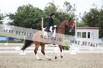 156196_nn_01_IMG_5348.JPG
