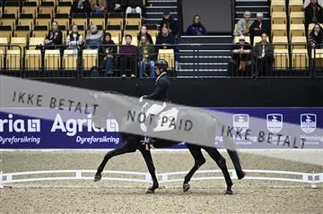 182194_kbb_01_Z096369.JPG