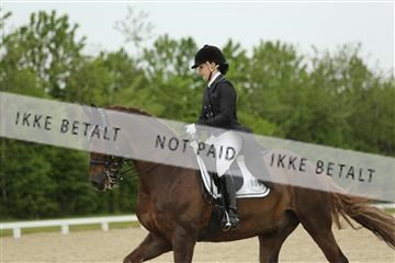 139835_sg_01_IMG_7197.JPG
