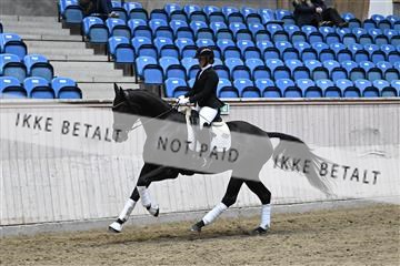 182241_kbb_01_Z094845.JPG