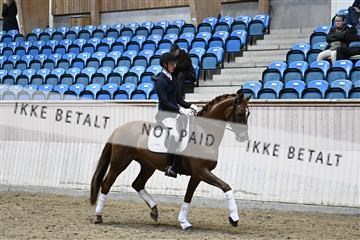 182241_kbb_01_Z094905.JPG