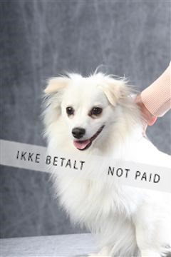 129608_le_ 01_0316.JPG