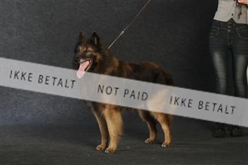 132082_le_ 01_IMG_0952.JPG