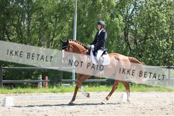 168732_mtp_01_3M5A7754.JPG