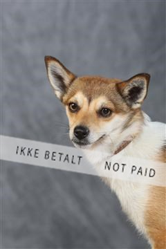 130054_le_ 03_0200.JPG