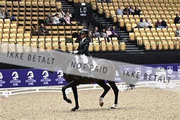 182194_kbb_03_Z099859.JPG