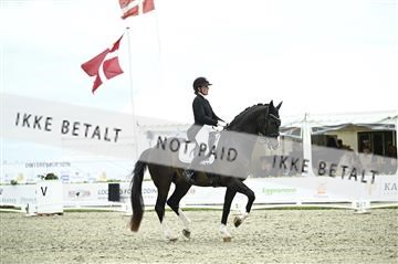 181449_kbb_03_Z092033.JPG