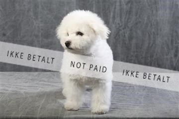 129608_le_ 01_0566.JPG