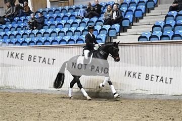 182241_kbb_01_Z093632.JPG