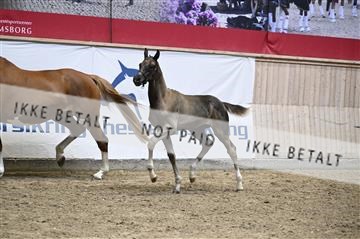 181957_kbb_01_Z097641.JPG
