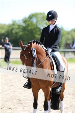 168732_mtp_01_3M5A6870.JPG
