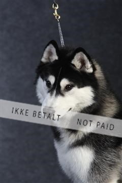 132082_le_ 01_IMG_0103.JPG