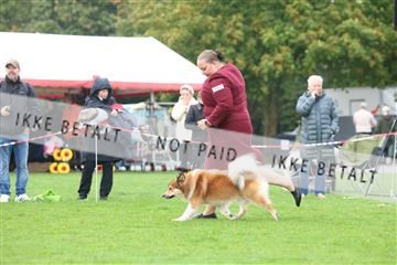 182009_rin_02_R62_2785.JPG
