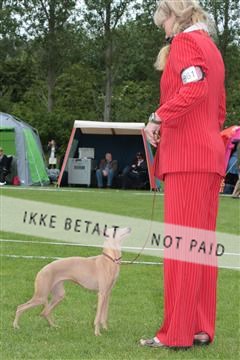 135379_tl_02_IMG_9341.JPG