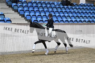 182241_kbb_01_Z094741.JPG