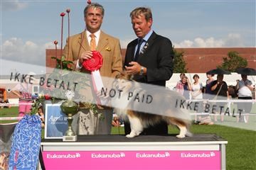 130370_se_03_IMG_7912.JPG