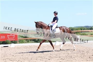 181449_bc_01R62_5779.JPG