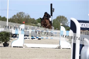 181436_avh_02_4155.JPG