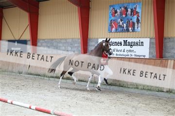 181868_mtp_02_R62_5454.JPG