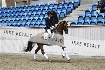 182241_kbb_01_Z094917.JPG