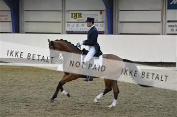 140040_abo_02__AB19693.JPG