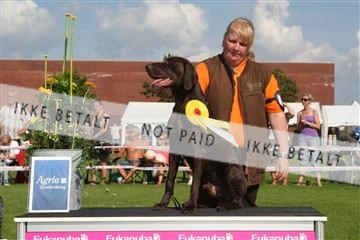 130370_se_03_IMG_7866.JPG