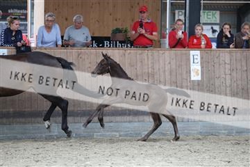 175057_kuo_01_R62_4797.JPG