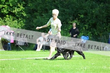 181564_rin_01_R62_7569.JPG