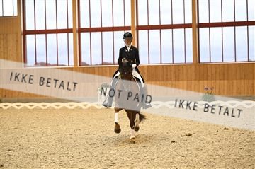 182176_kbb_01_Z094848.JPG