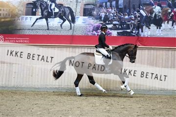 181887_mtp_05_R62_9424.JPG