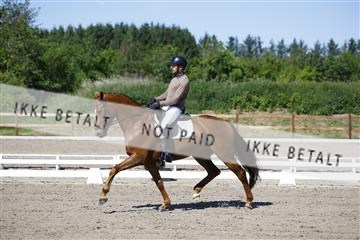 181449_kbb_01_6II9164.JPG