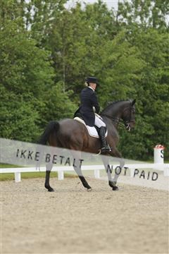 139835_sg_02_IMG_8697.JPG