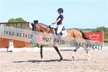 181449_bc_01R62_5819.JPG