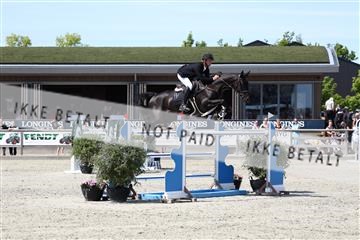 181436_avh_03_4677.JPG