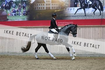 181887_mtp_05_R62_9644.JPG