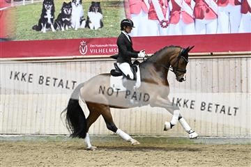 182241_kbb_01_Z094687.JPG