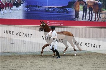 181887_mtp_03_R62_8070.JPG