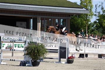 181436_avh_02_3751.JPG