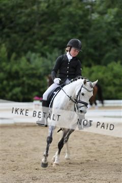 156196_nn_01_IMG_6474.JPG