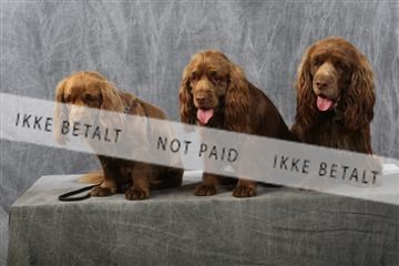 129608_le_ 01_0758.JPG