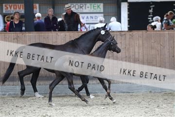 175057_kuo_01_R62_4705.JPG