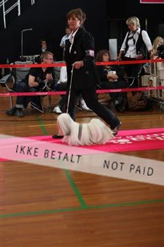 6068_ma_05_IMG_5771.JPG