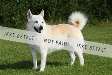 130370_se_03_IMG_6758.JPG