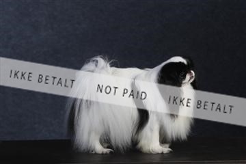 132082_le_ 01_IMG_0694.JPG