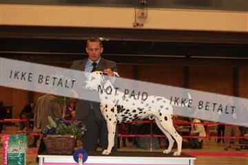 124188 _tl_02_IMG_9637.JPG